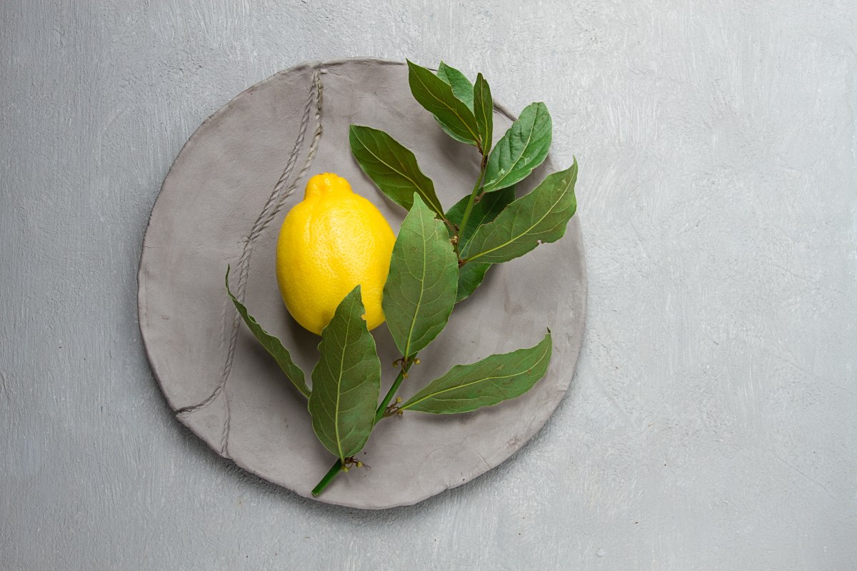 Položte do izby citrón s bobkovými listami. Prírodný spôsob osvieženia vzduchu bez chemikálií