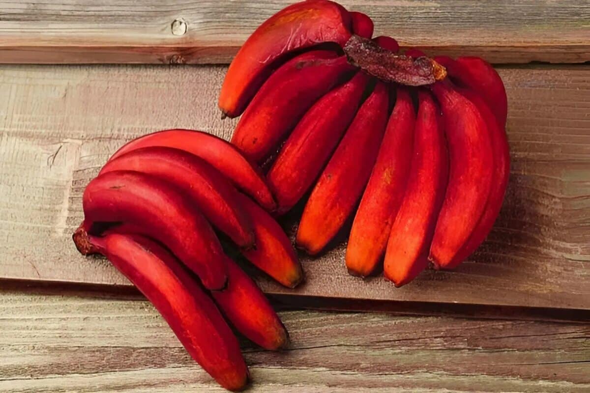 Sú zdravšie ako klasické, majú chuť s tónmi malín a manga. Regulujú trávenie a chránia oči