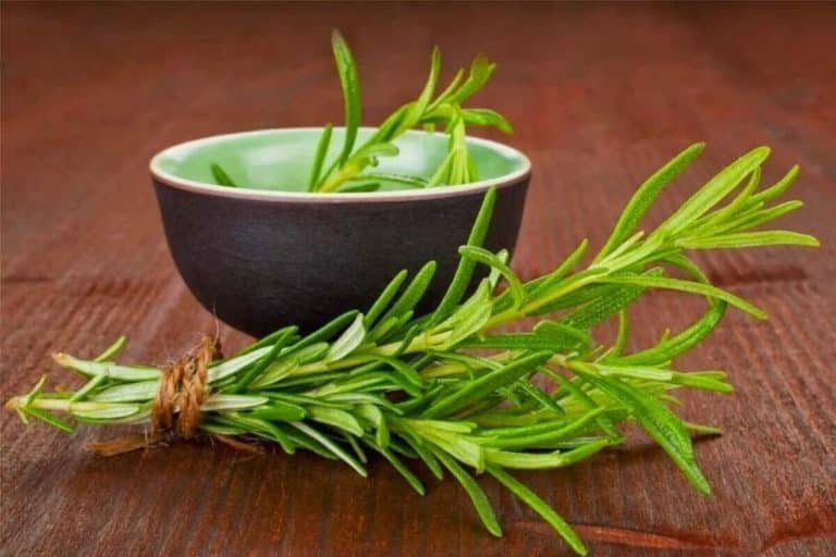 Vložte vetvičku rozmarínu do mikrovlnnej rúry: prečo je to odporúčané a načo to slúži