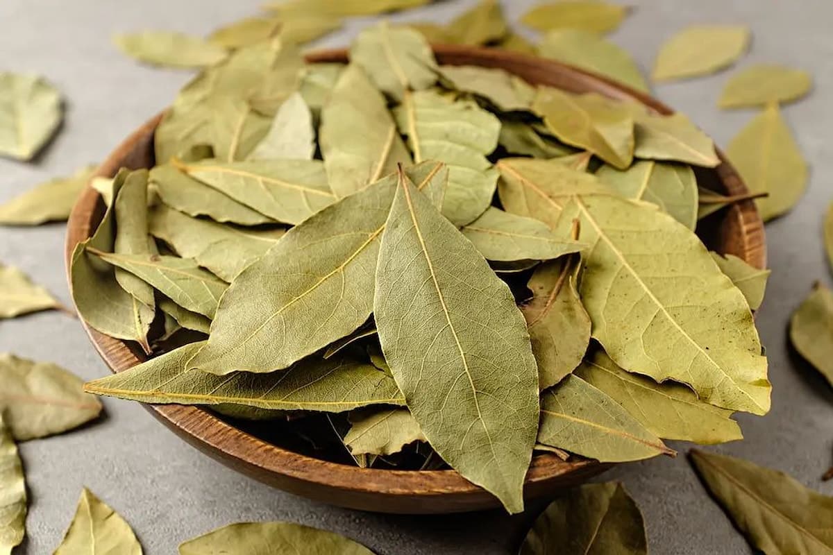 Vloženie bobkov&yacute;ch listov do mikrovlnnej r&uacute;ry: načo to sl&uacute;ži a ako často to robiť