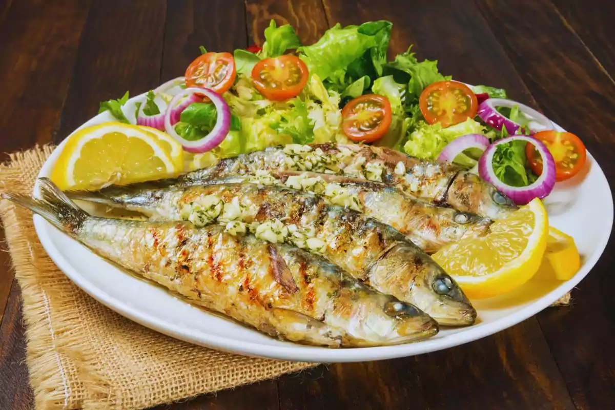 Najužitočnej&scaron;ie ryby bohat&eacute; na omega-3. Losos, sardinky, sleď a makrela