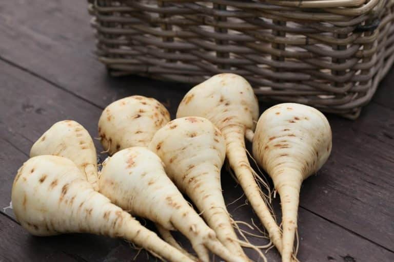 Stimuluje činnosť čriev, chutí lepšie ako petržlen. Z neho možno pripraviť hranolky, placky alebo chutnú polievku