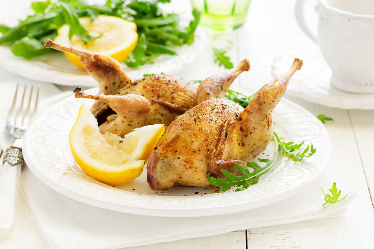 Je lepšie ako kuracie a morčacie mäso, ale takmer nikto ho nekupuje. Je lacnejšie ako hovädzie mäso a často je v akcii.