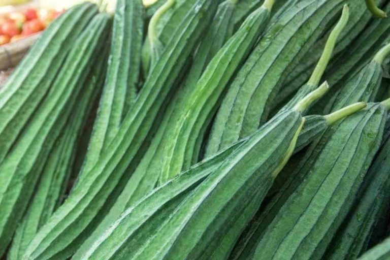 Má tenkú šupku a nemá kôstky, ale jeme ho len zriedka. Výborne hydratuje a čistí organizmus od toxínov