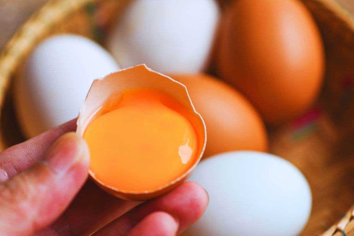 Dám ich do misy a zalejem olivovým olejom. Krémová pasta na chlieb za pol hodinu